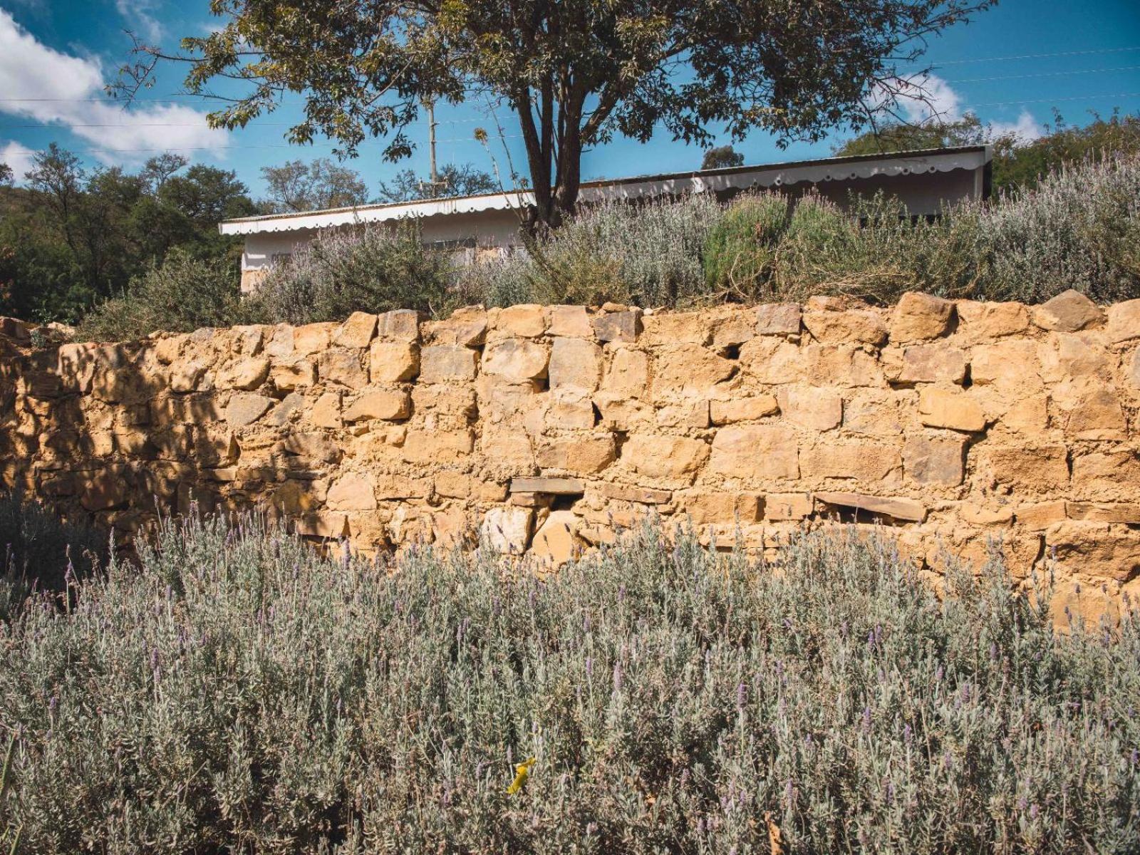 Riverbed Africa Lydenburg Exterior foto