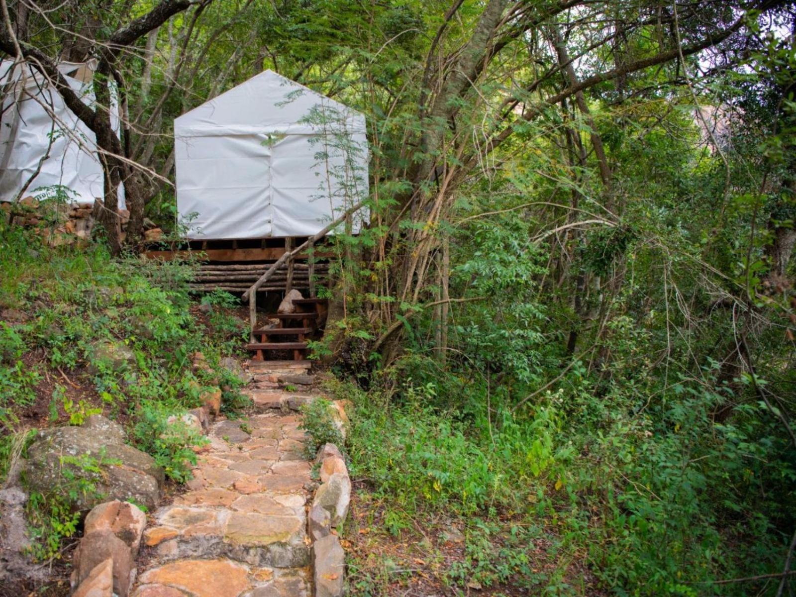 Riverbed Africa Lydenburg Habitación foto